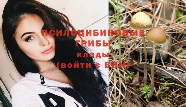 хмурый Аксай