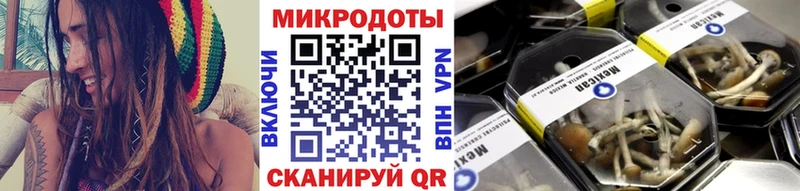 Псилоцибиновые грибы мухоморы  наркота  Аргун 