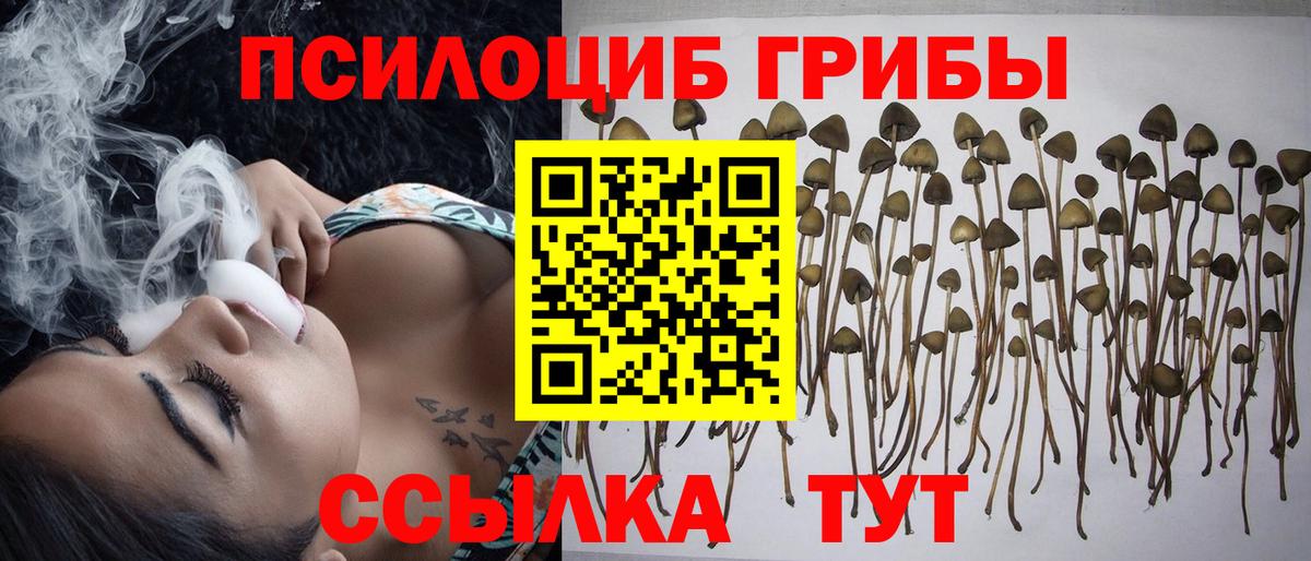 Галлюциногенные грибы MAGIC MUSHROOMS  Аргун 
