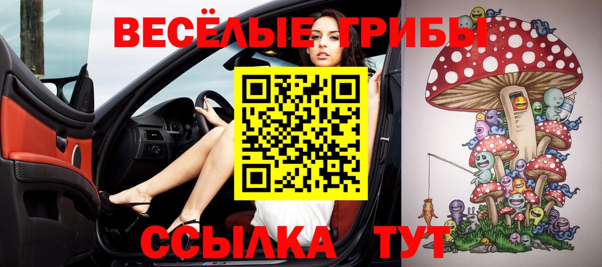 Псилоцибиновые грибы Psilocybine cubensis  Вход с VPN  Аргун 